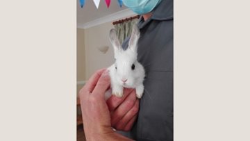 Ashton care home welcome their very own furry friends